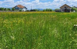 Oportunitate investitie-teren intravilan Harman/Podu Oltului