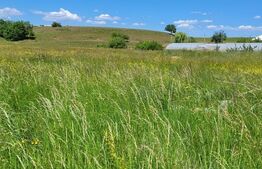 Teren de vânzare Tarlungeni - 163439TV | BLITZ Brașov | Poza1