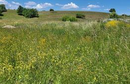 Oportunitate investitie-teren intravilan Harman/Podu Oltului