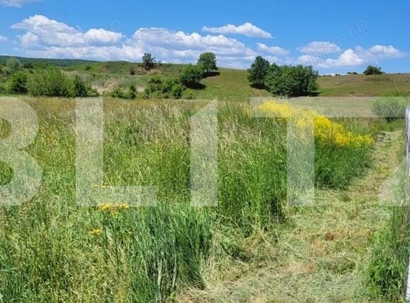 Teren de vânzare Harman - 164120TV | BLITZ Brașov | Poza2