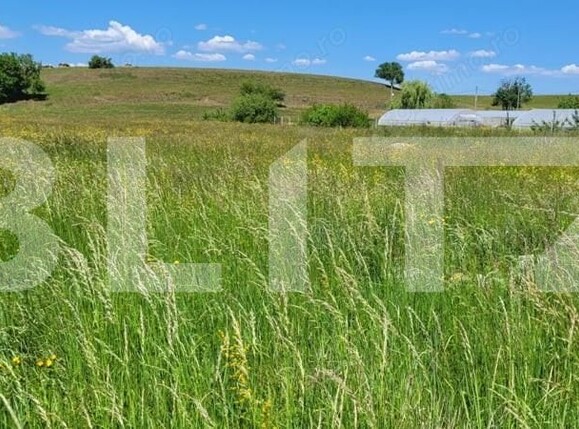 Teren de vânzare Harman - 164120TV | BLITZ Brașov | Poza1