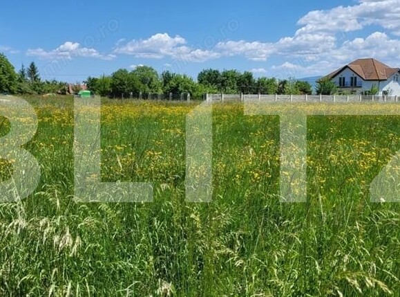 Teren de vânzare Harman - 164120TV | BLITZ Brașov | Poza4