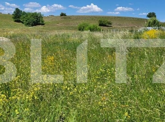 Teren de vânzare Harman - 164120TV | BLITZ Brașov | Poza5