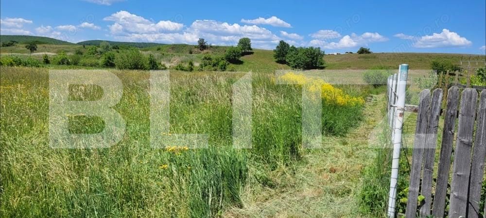 Teren de vânzare Harman - 164120TV | BLITZ Brașov | Poza2