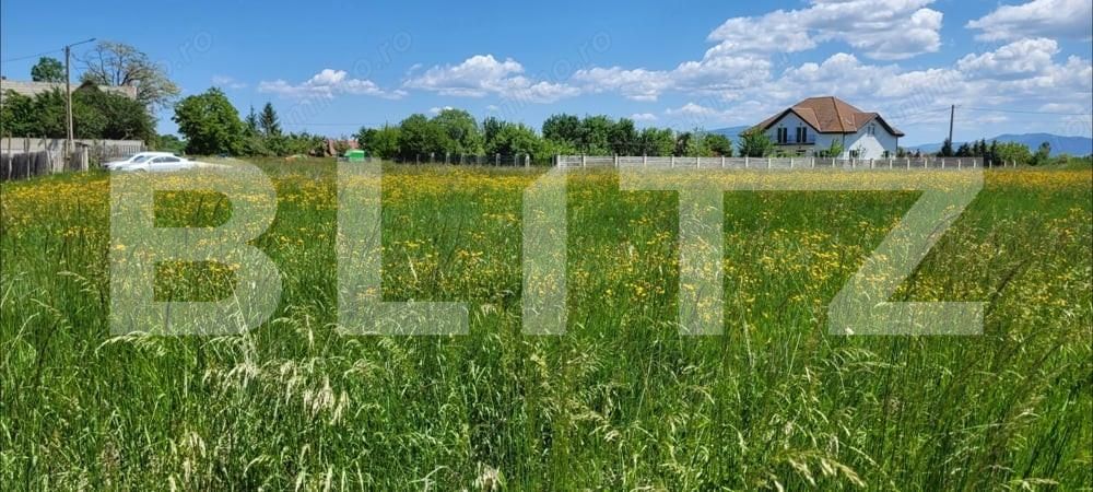 Teren de vânzare Harman - 164120TV | BLITZ Brașov | Poza4