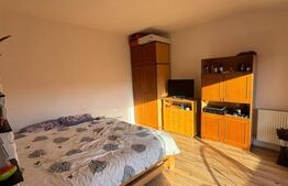 Apartament 1 camera, utilat complet, parcare, petfriendly, zona Eroilor 
