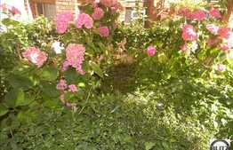 Apartament 2 camere de vanzare, zona strazii Horea, 56 mp utili.