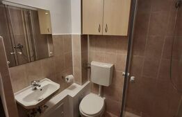 Garsoniera, 24 mp, etaj intermediar, zona Minerva Manastur