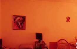 Vanzare apartament 2 camere, 40 mp, zona strazii Vanatorului