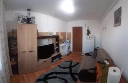 Camera camin mobilata cu potential de investitie