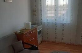 Camera camin mobilata cu potential de investitie