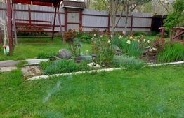 Casa Dejani, langa Fagaras, 2500 mp teren 4 camere - raul trece prin curte 