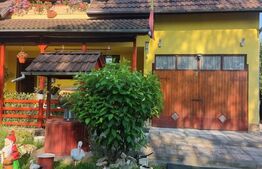 Casa Dejani, langa Fagaras, 2500 mp teren 4 camere - raul trece prin curte 