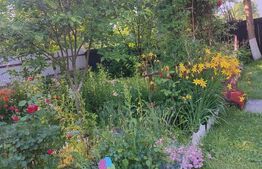 Casa Dejani, langa Fagaras, 2500 mp teren 4 camere - raul trece prin curte 