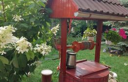 Casa Dejani, langa Fagaras, 2500 mp teren 4 camere - raul trece prin curte 