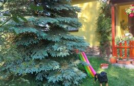 Casa Dejani, langa Fagaras, 2500 mp teren 4 camere - raul trece prin curte 