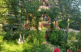 Casa Dejani, langa Fagaras, 2500 mp teren 4 camere - raul trece prin curte 