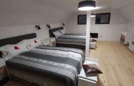 Casa Dejani, langa Fagaras, 2500 mp teren 4 camere - raul trece prin curte 