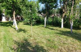 Casa Dejani, langa Fagaras, 2500 mp teren 4 camere - raul trece prin curte 