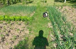 Casa Dejani, langa Fagaras, 2500 mp teren 4 camere - raul trece prin curte 