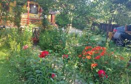 Casa Dejani, langa Fagaras, 2500 mp teren 4 camere - raul trece prin curte 