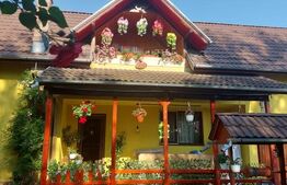 Casa Dejani, langa Fagaras, 2500 mp teren 4 camere - raul trece prin curte 