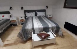 Casa Dejani, langa Fagaras, 2500 mp teren 4 camere - raul trece prin curte 