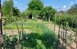 Casa Dejani, langa Fagaras, 2500 mp teren 4 camere - raul trece prin curte 