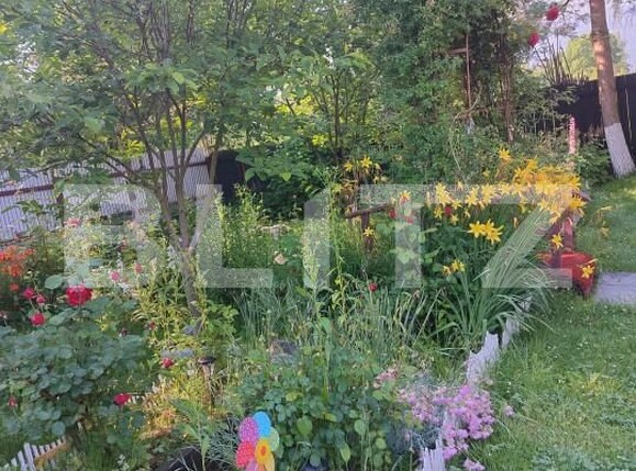 Casa de vânzare 4 camere Făgăraş - 164380CV | BLITZ Brașov | Poza3