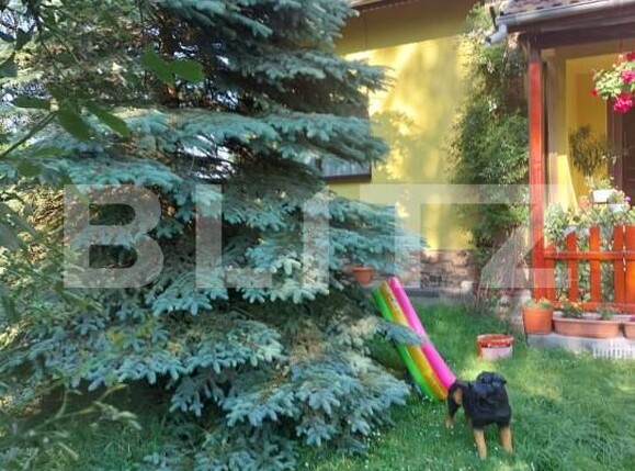 Casa de vânzare 4 camere Făgăraş - 164380CV | BLITZ Brașov | Poza19