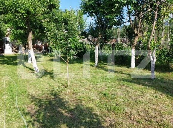 Casa de vânzare 4 camere Făgăraş - 164380CV | BLITZ Brașov | Poza7