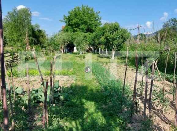 Casa de vânzare 4 camere Făgăraş - 164380CV | BLITZ Brașov | Poza15