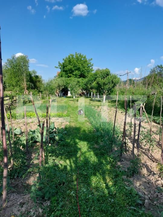 Casa de vânzare 4 camere Făgăraş - 164380CV | BLITZ Brașov | Poza8