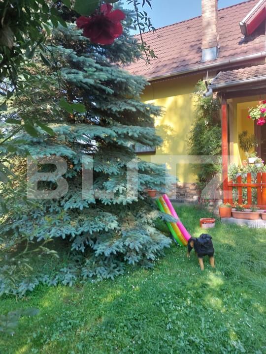 Casa de vânzare 4 camere Făgăraş - 164380CV | BLITZ Brașov | Poza19