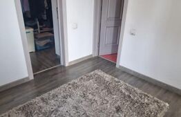 Casa de vanzare, cu 3 camere, 95 mp,  zona Craiter 