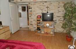 Vanzare apartament 2 camere, 47 mp, gradina 60 mp, 2 locuri parcare, central