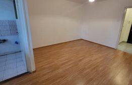 Garsoniera, 28 mp, etaj intermediar, zona Iulius Mall