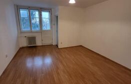 Garsoniera, 28 mp, etaj intermediar, zona Iulius Mall