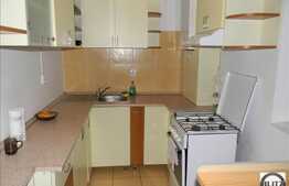 Apartament cu 1 camera, 38 mp utili, zona Fantanele