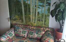 2 camere, 49 mp, decomandat, zona strazii Rapsodiei