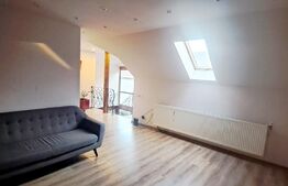 Casa 200 mp utili si 1113 mp teren, piscina, zona Gheorgheni