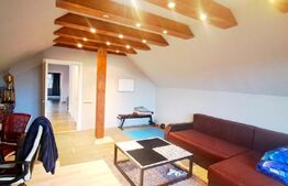 Casa 200 mp utili si 1113 mp teren, piscina, zona Gheorgheni