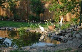 Casa 200 mp utili si 1113 mp teren, piscina, zona Gheorgheni