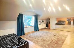 Casa 200 mp utili si 1113 mp teren, piscina, zona Gheorgheni