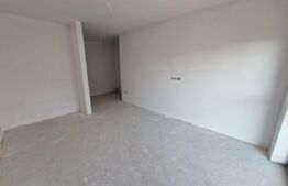 Casa cu 4 camere, 275 mp, zona Big-Manastur 