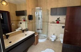 Penthouse 4 camere, 163 mp, zona Buna-Ziua