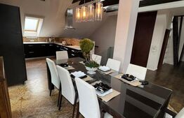 Penthouse 4 camere, 163 mp, zona Buna-Ziua