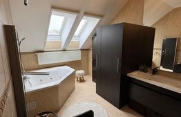 Penthouse 4 camere, 163 mp, zona Buna-Ziua