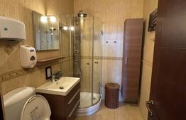 Penthouse 4 camere, 163 mp, zona Buna-Ziua