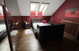 Penthouse 4 camere, 163 mp, zona Buna-Ziua